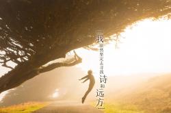 开云体育平台APP-永不谢幕的传说，2026世界杯A组，C罗压哨绝杀，哥伦比亚在罗马尼亚的梦碎中重生