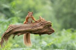 开云sport-当东方小城球队震动篮球宇宙，一场不可能中的可能