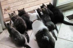 开云体育入口-绝境炼真金！克罗地亚半场压制却遭巴黎惊天逆转，托尼11分钟超神一击定江山