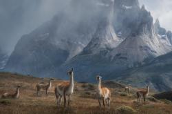 开云体育入口-赛道上的诺曼底登陆，阿隆索如何用一次绝杀改写F1权力版图？