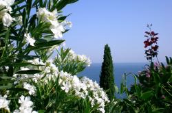 开云体育入口-极限的两种形态，巴林赛道与孟菲斯球馆的共同心跳