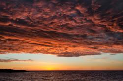 开云体育-美加墨世界杯的隐秘征服者，当莱比锡红牛的基因淘汰了哥伦比亚