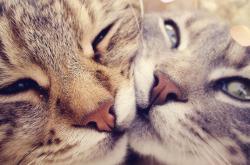 开云体育入口-一人焚城！利拉德东决夜的暴力解法