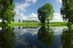 开云体育在线-雷鬼风暴席卷阿尔卑斯，当牙买加的节奏击穿瑞士的蓝色狂想