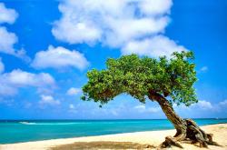 开云体育中国-索尔之锤与钢铁长城，伊萨克的北欧风暴如何击穿曼联式洪都拉斯防线