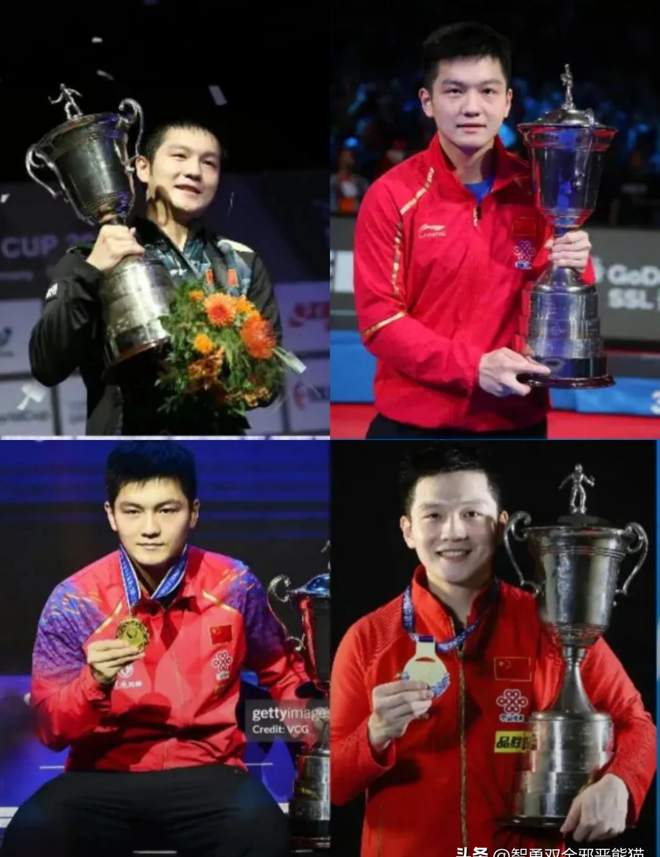 关于日本乒乓球队完胜奥地利乒乓球队，樊振东送出助攻的信息