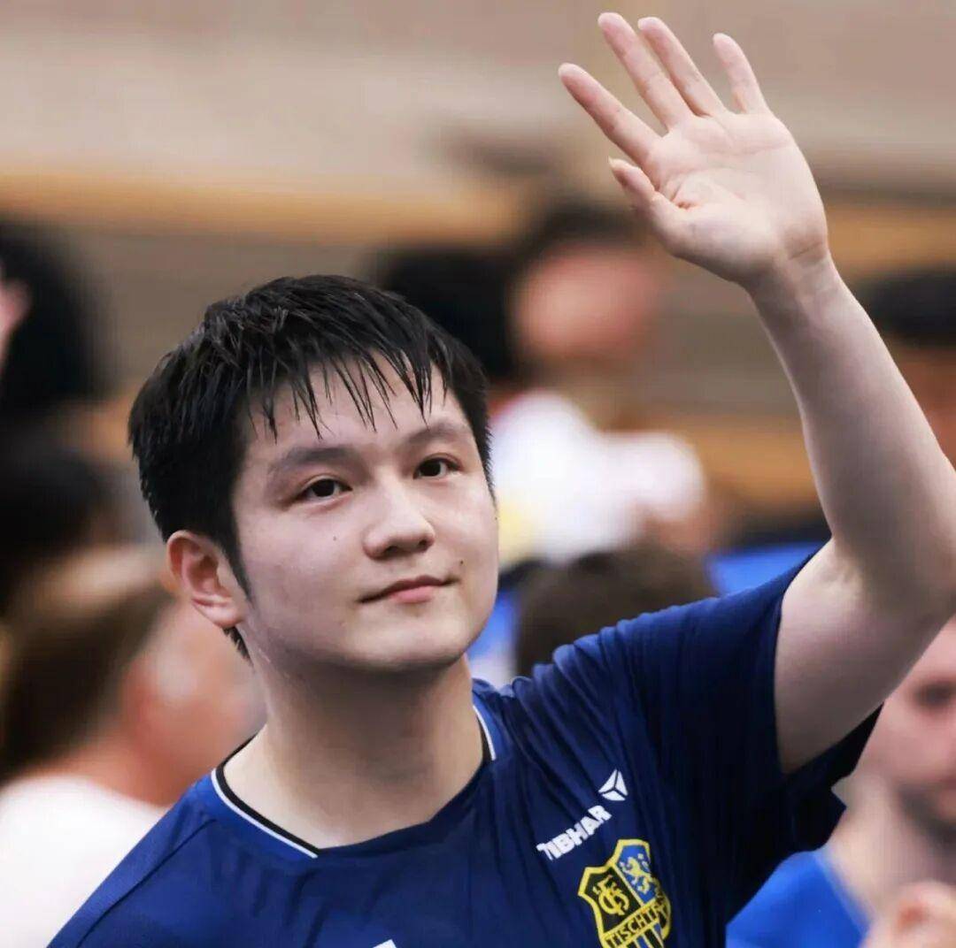 关于日本乒乓球队血洗瑞典乒乓球队，樊振东绝境逆转的信息