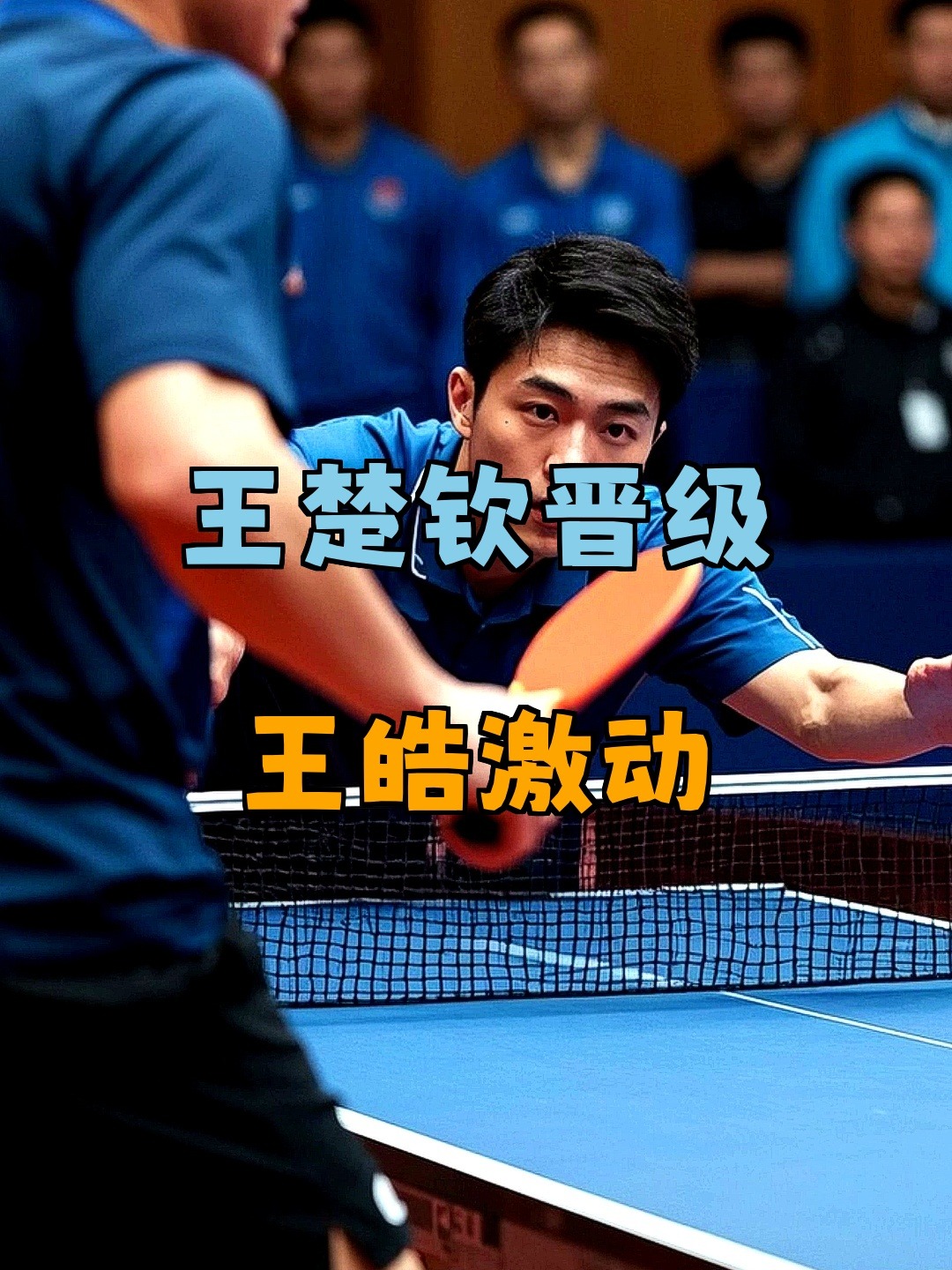 法国乒乓球队轻取波兰乒乓球队，王皓送出助攻