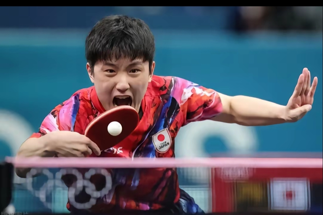 日本乒乓球队轻取法国乒乓球队,张本智和制霸全场 日本乒乓球队轻取法国乒乓球队,张本智和制霸全场