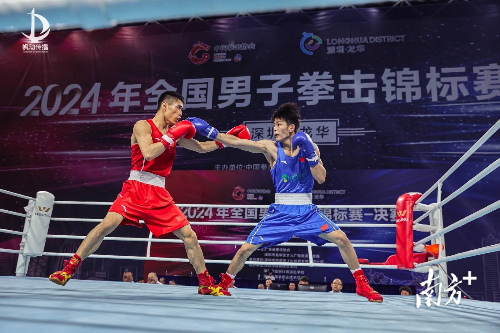 拳击小组赛落幕，强队悉数晋级