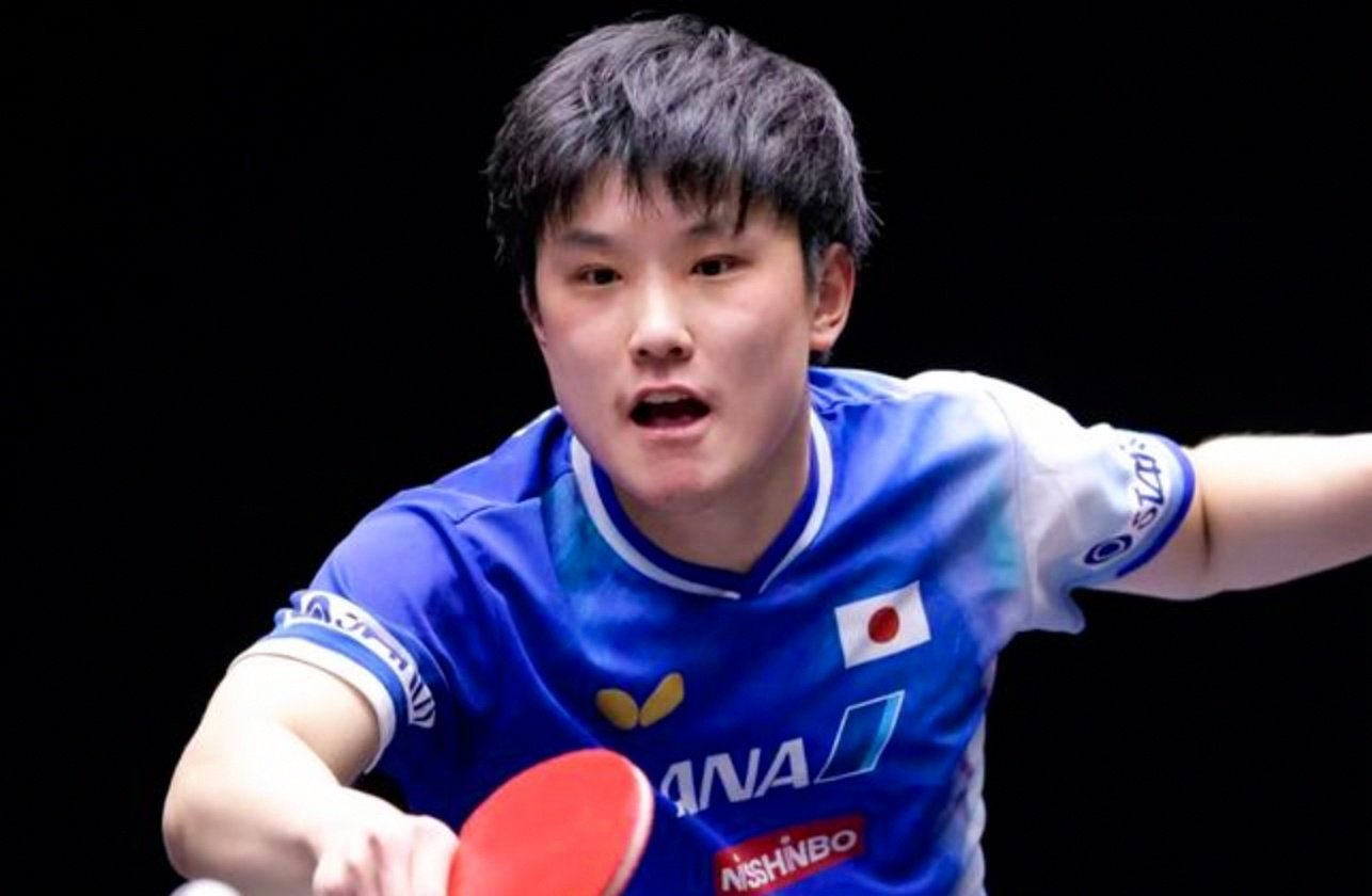 奥地利队轻取法国队，张本智和统治全场