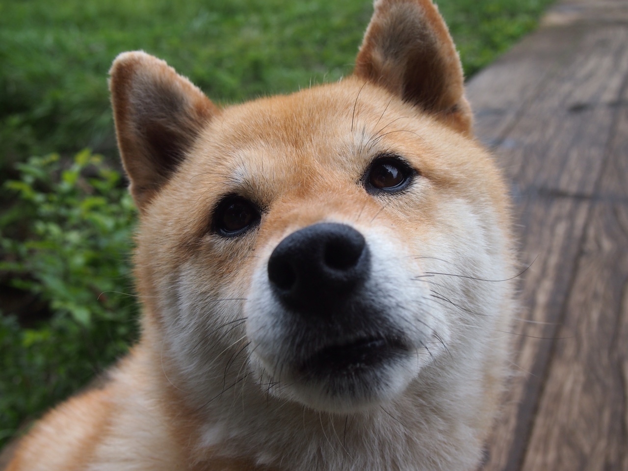 传奇续写新篇,印尼队轻取泰国队,马琳点燃赛场诠释唯一胜利