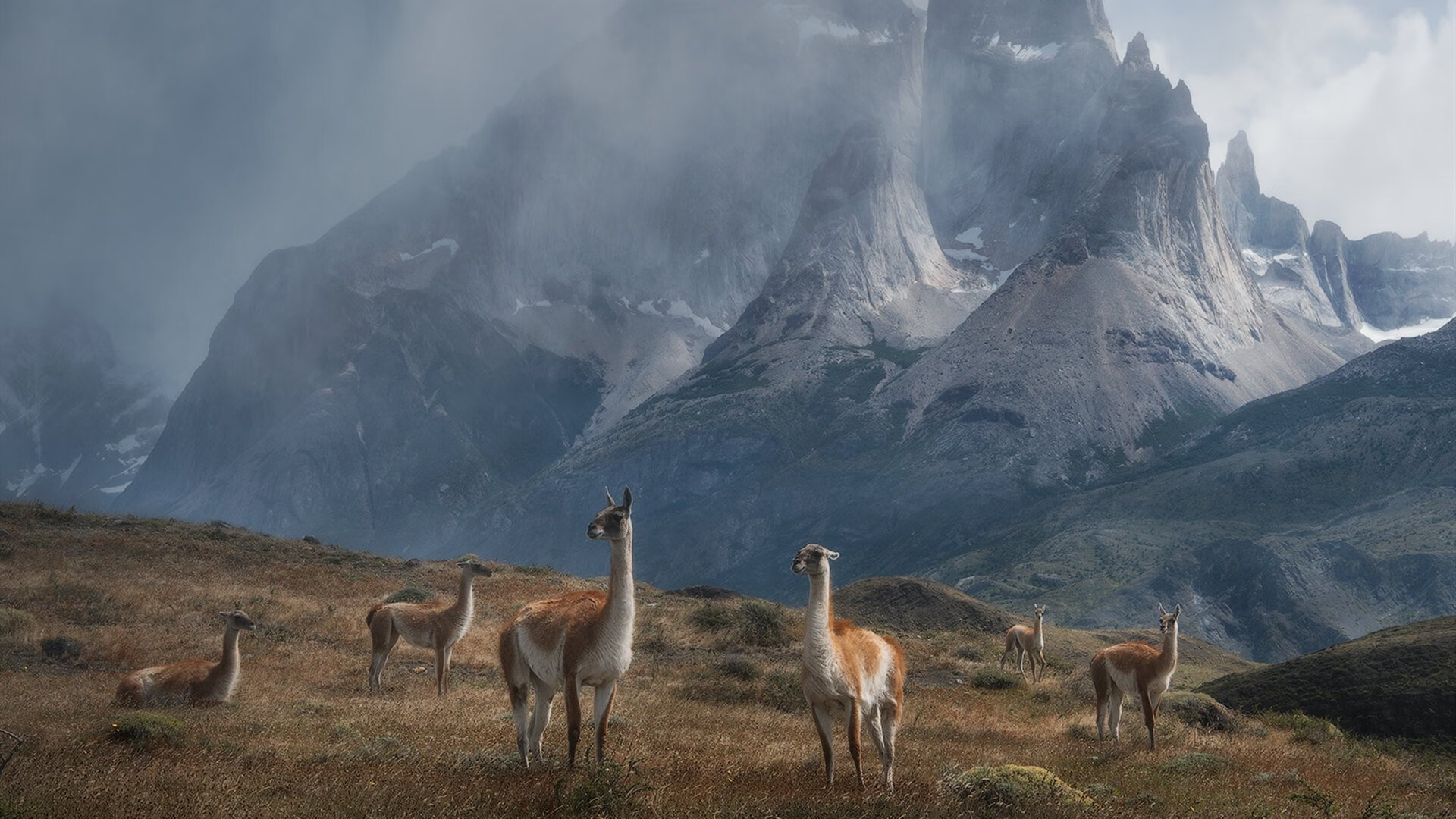 赛道上的诺曼底登陆，阿隆索如何用一次绝杀改写F1权力版图？