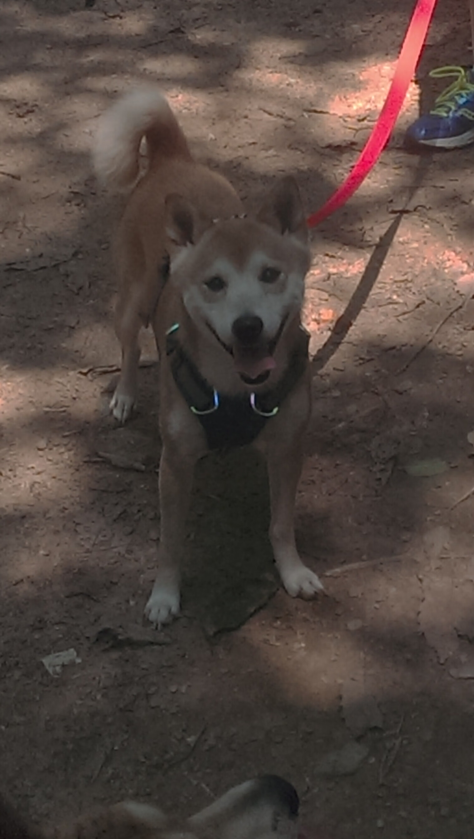 倒转的时钟,那个改写西部的抢七午后