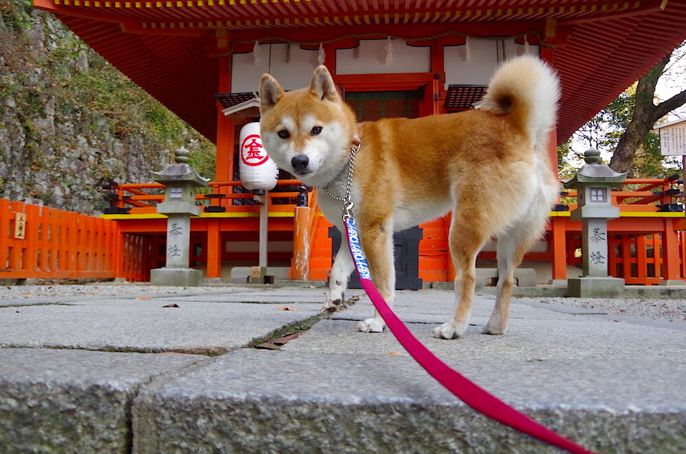 维京战吼与非洲舞步，当阿圭罗在篮球场接管抢七之战