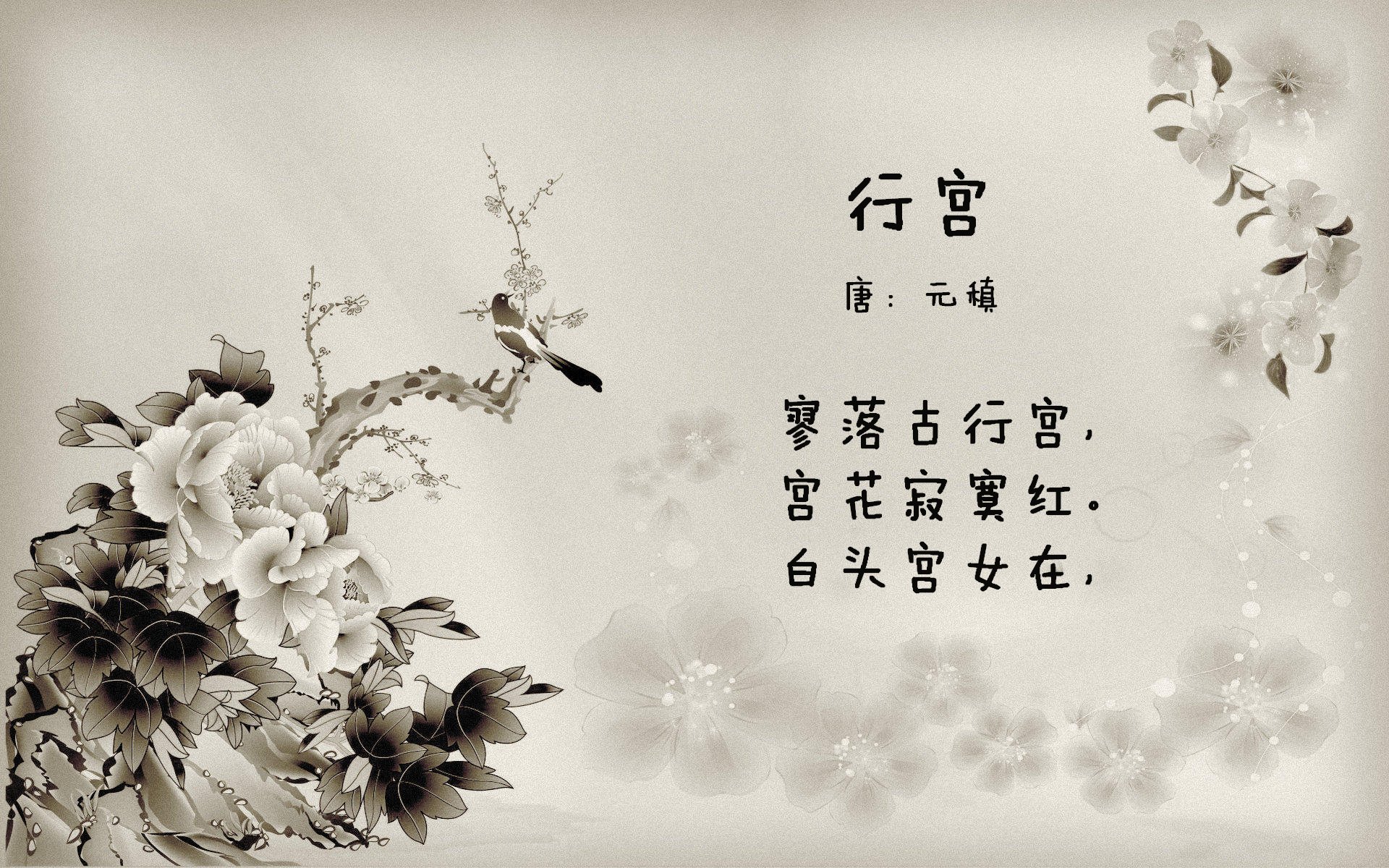 暗流汹涌,北极星与滔天巨浪