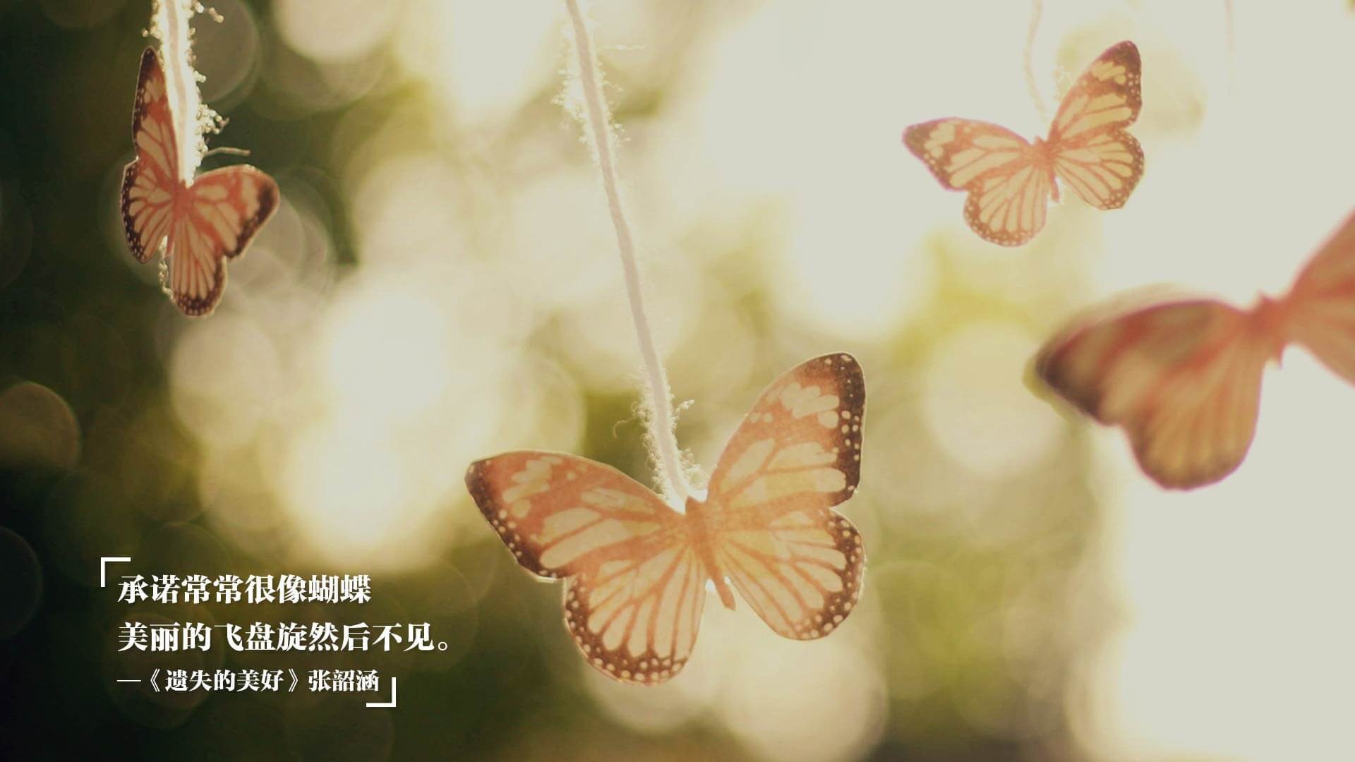 无国界的运动场，从英超争冠战到丹麦委内瑞拉的体育平行线