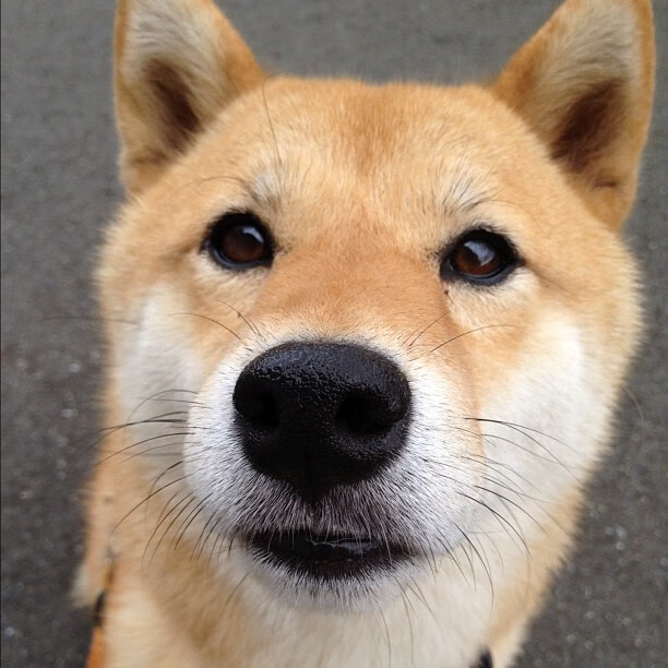 范弗利特三分暴雨撕裂天空,老鹰展翅提前终结活塞最后悬念