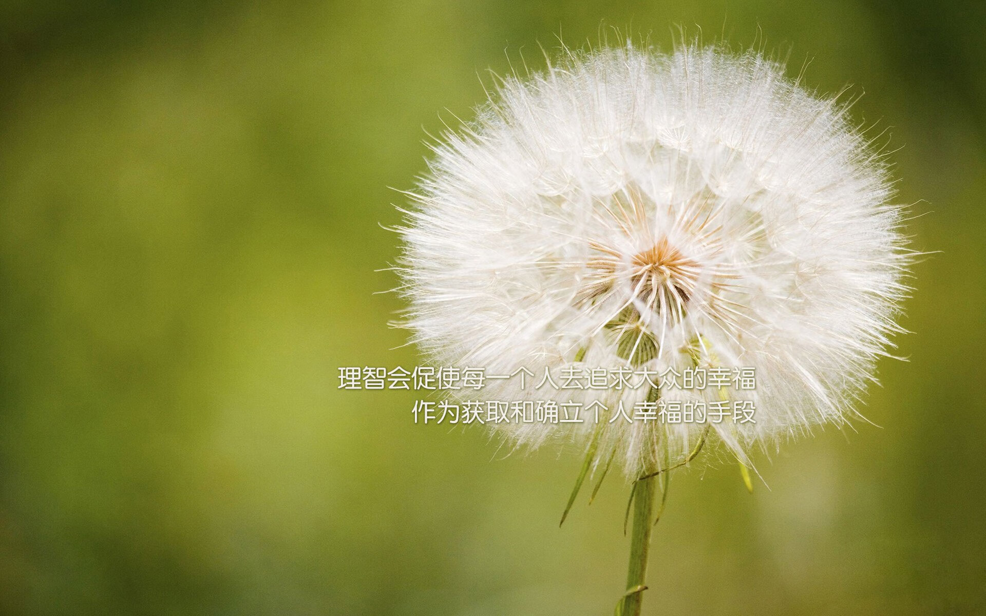 最后的决斗场，布克如何以个人之力撕裂东部最强防线