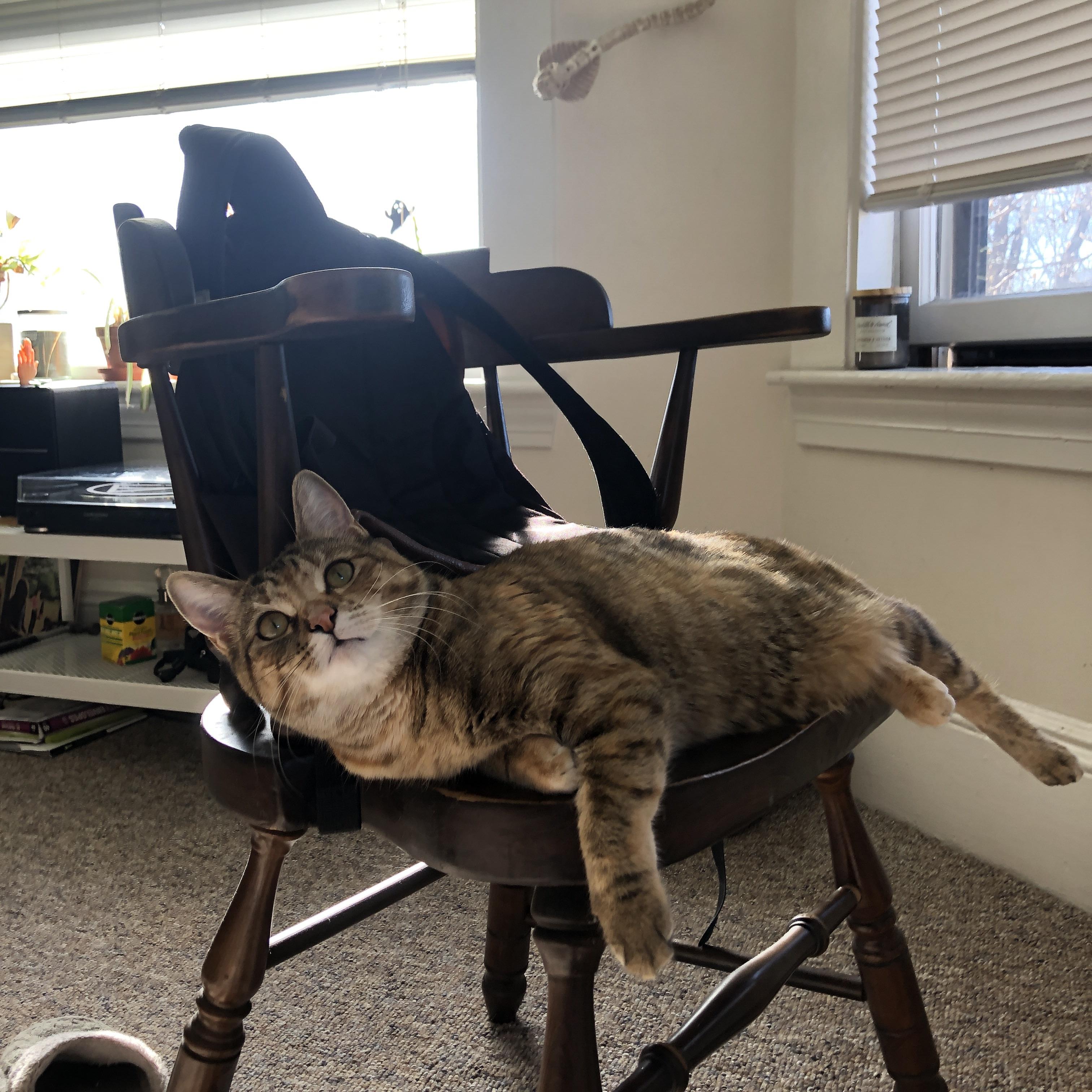 跨越半个世纪的握手，委内瑞拉如何用一场胜利点亮喀麦隆的奥运之路