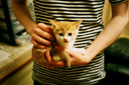 封神之战！绝境伦纳德轰39分，国王生死战击沉广东王朝