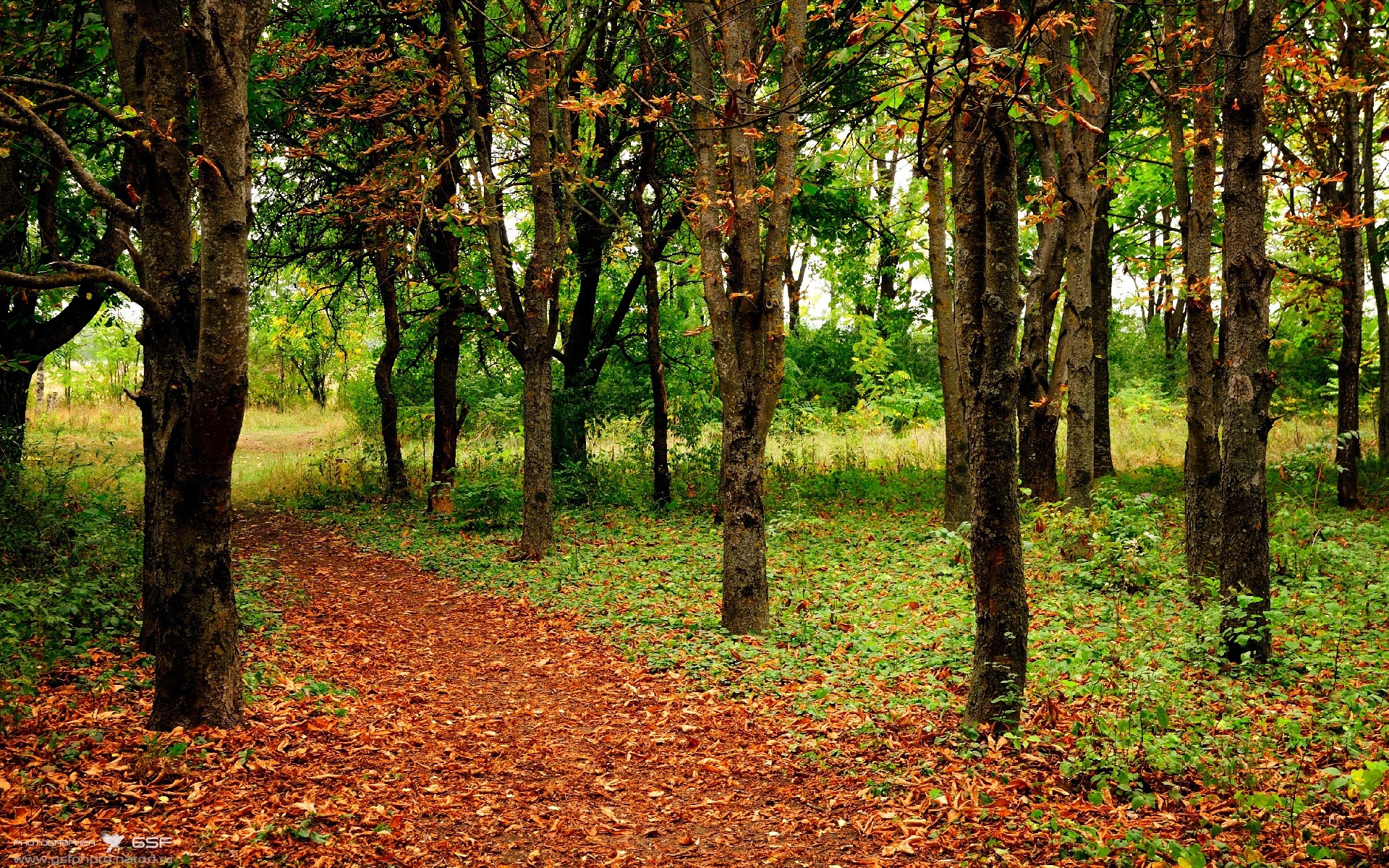当东方奇迹遇见北非雄狮，日本压哨绝杀阿尔及利亚，NBA总决赛级焦点战震撼全球