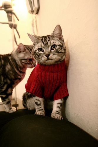 希腊对阵拉齐奥，贝林厄姆的战术密码与攻防转换的艺术