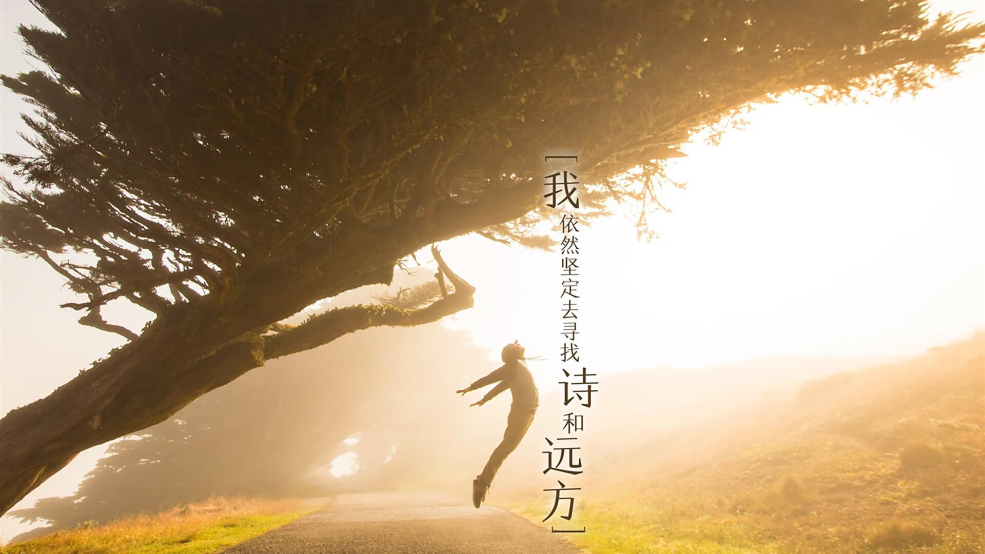 孤星耀世,2026世界杯E组焦点战,范戴克铁血统治,波兰力克葡萄牙书写唯一传奇