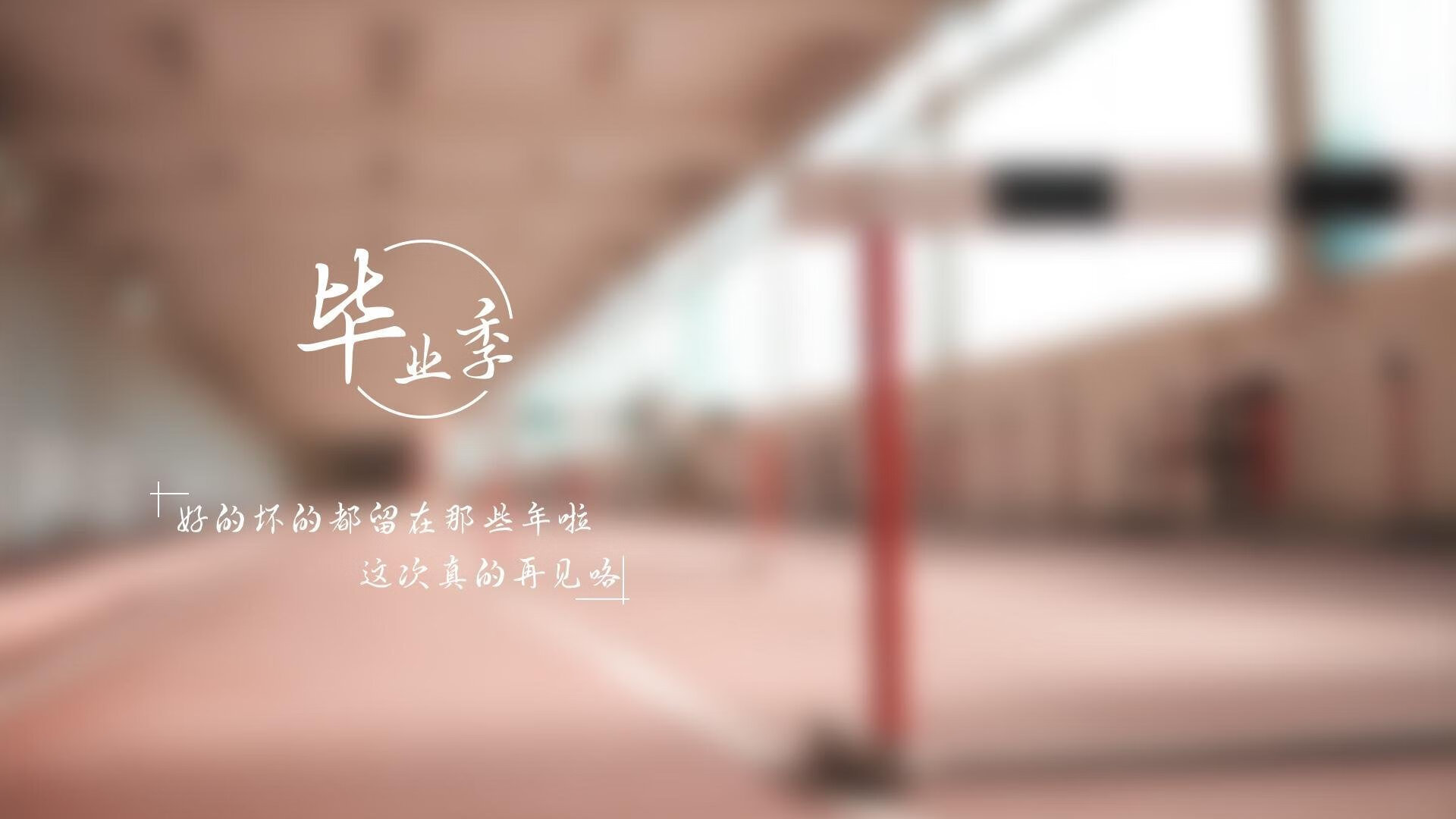 王权以铁腕重塑，2026世界杯八分之一决赛，比利时如何用卢卡库法则摧毁美国梦