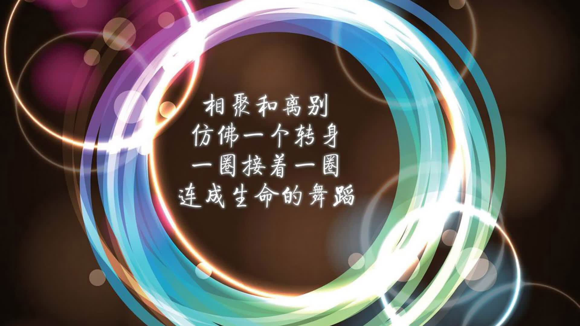孤星耀世，当莱万多夫斯基在2026年世界杯淘汰赛改写厄瓜多尔与荷兰的命运天平