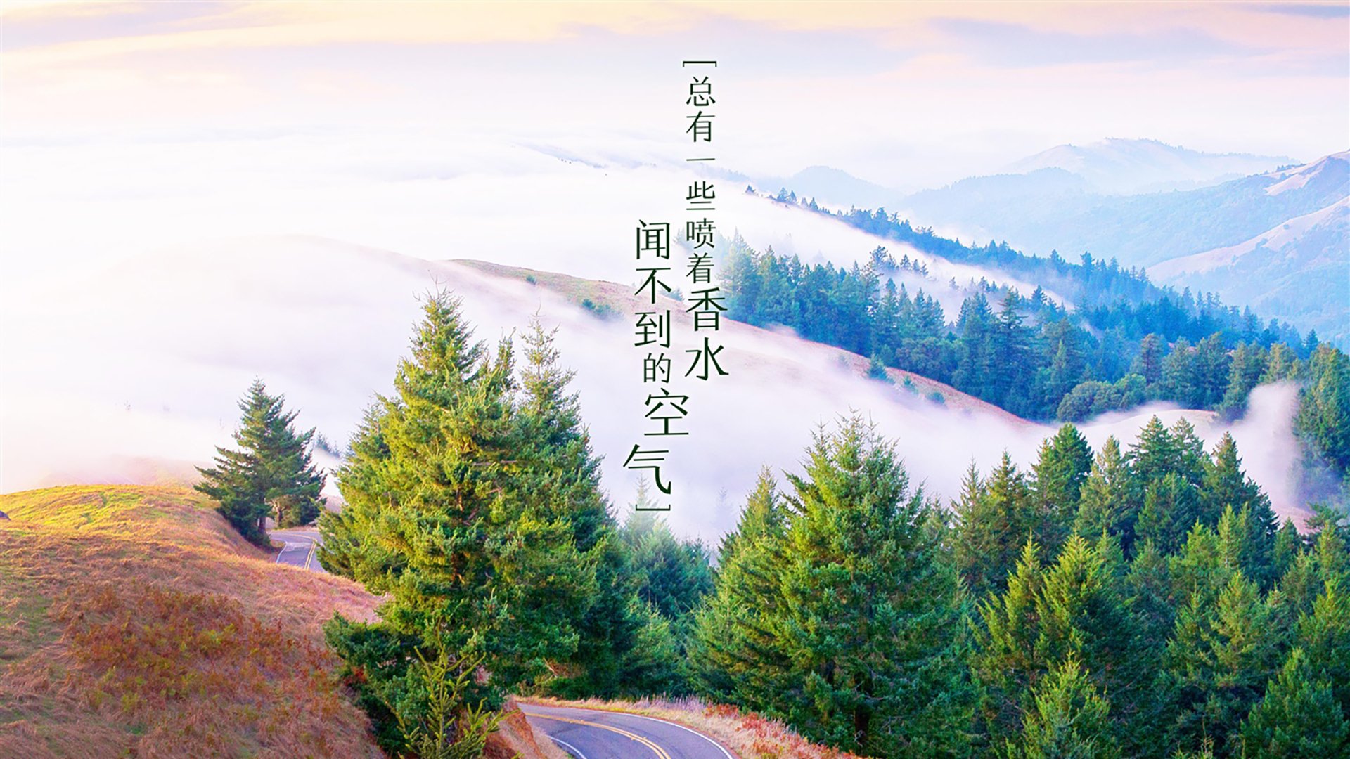 孤星闪耀，2026世界杯决赛，卢卡库用一场横扫重塑足球版图